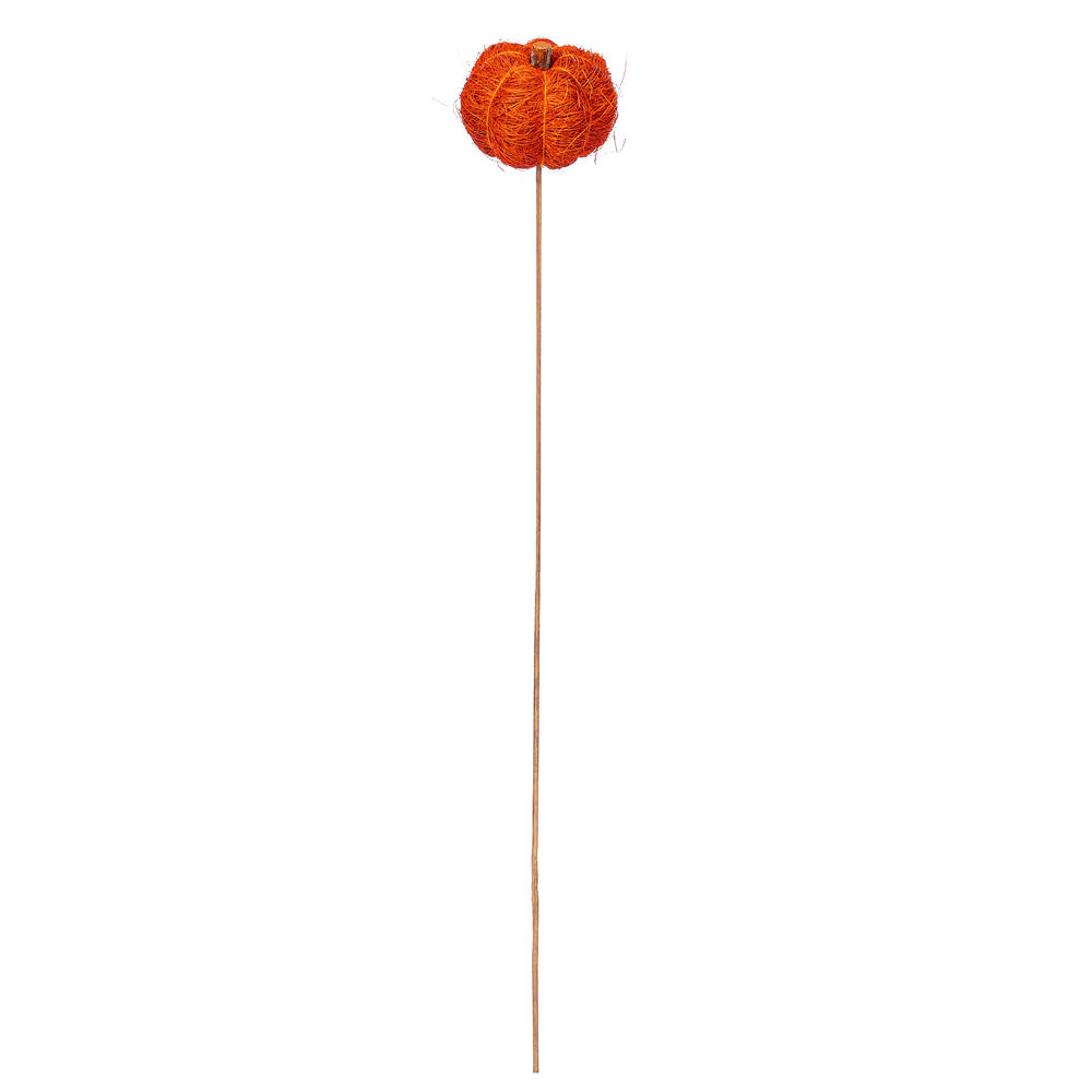 Vickerman Natural Botanicals Dried Hand Crafted Coconut Coir Pumpkin