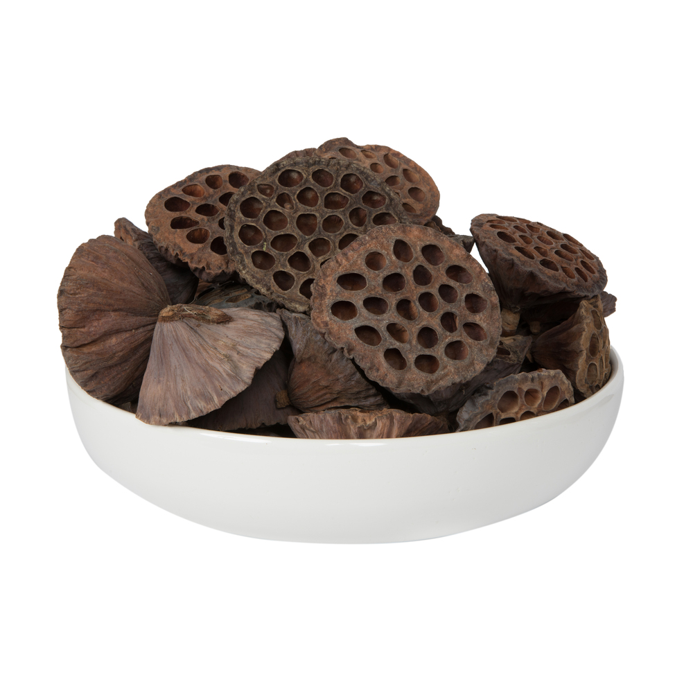 Vickerman Natural Botanicals Lotus Pod