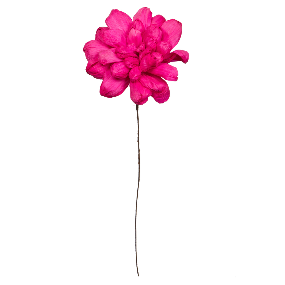 Vickerman 6" Natural Botanicals Maize Dahlia on Wire Stem