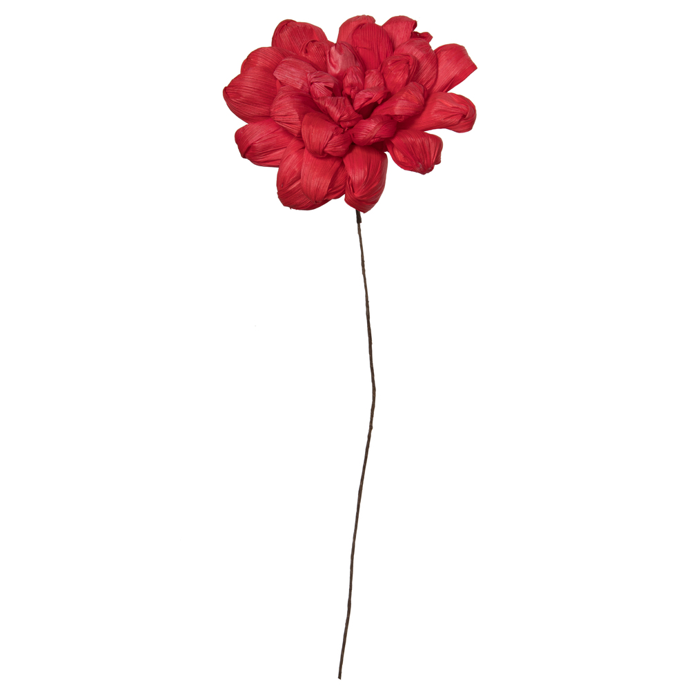Vickerman 6" Natural Botanicals Maize Dahlia on Wire Stem