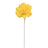 Vickerman 6" Natural Botanicals Maize Dahlia on Wire Stem