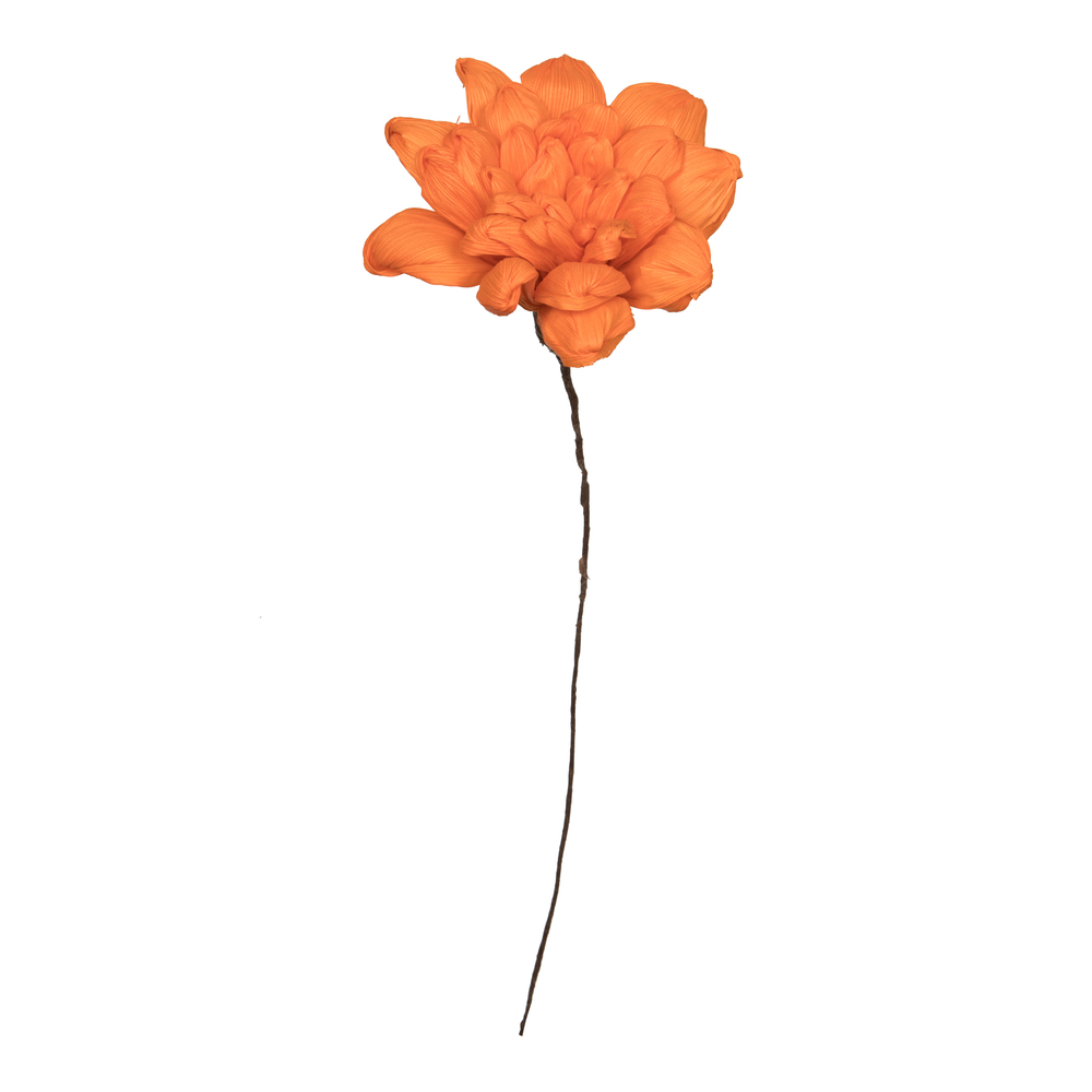 Vickerman 6" Natural Botanicals Maize Dahlia on Wire Stem