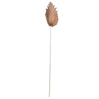 20" Oak Leaf Natural Ting 100/pk