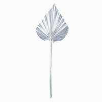 Vickerman Natural Botanicals Dried Palm Spear