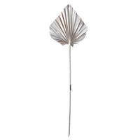 Vickerman Natural Botanicals Dried Palm Spear