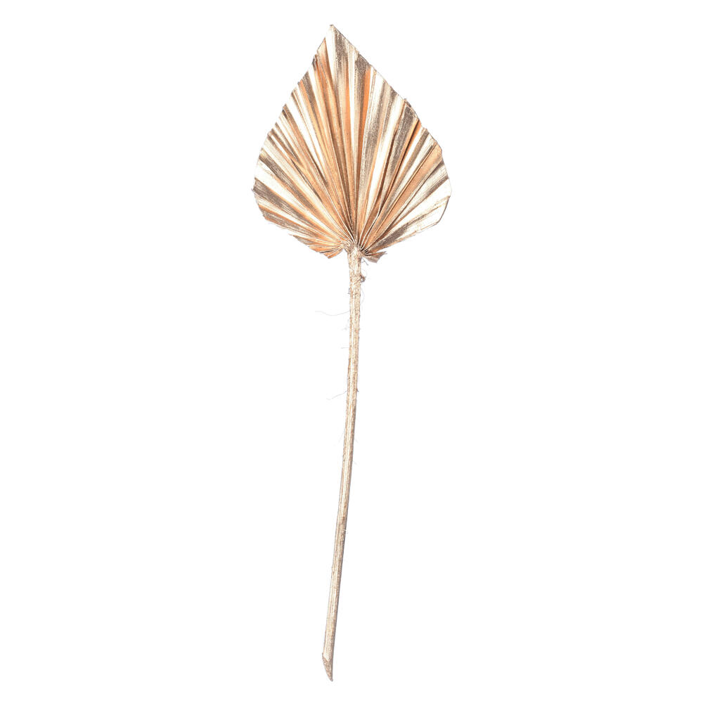 Vickerman Natural Botanicals Dried Palm Spear