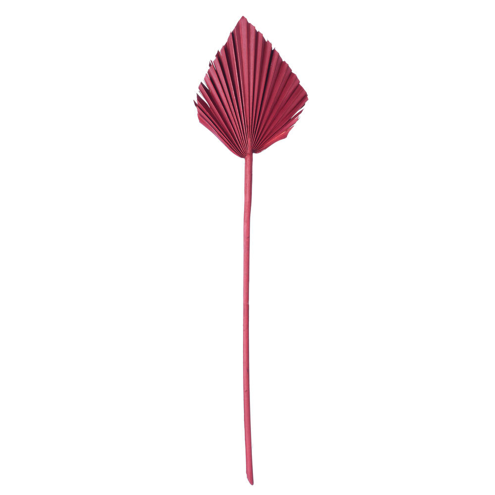Vickerman Natural Botanicals Dried Palm Spear
