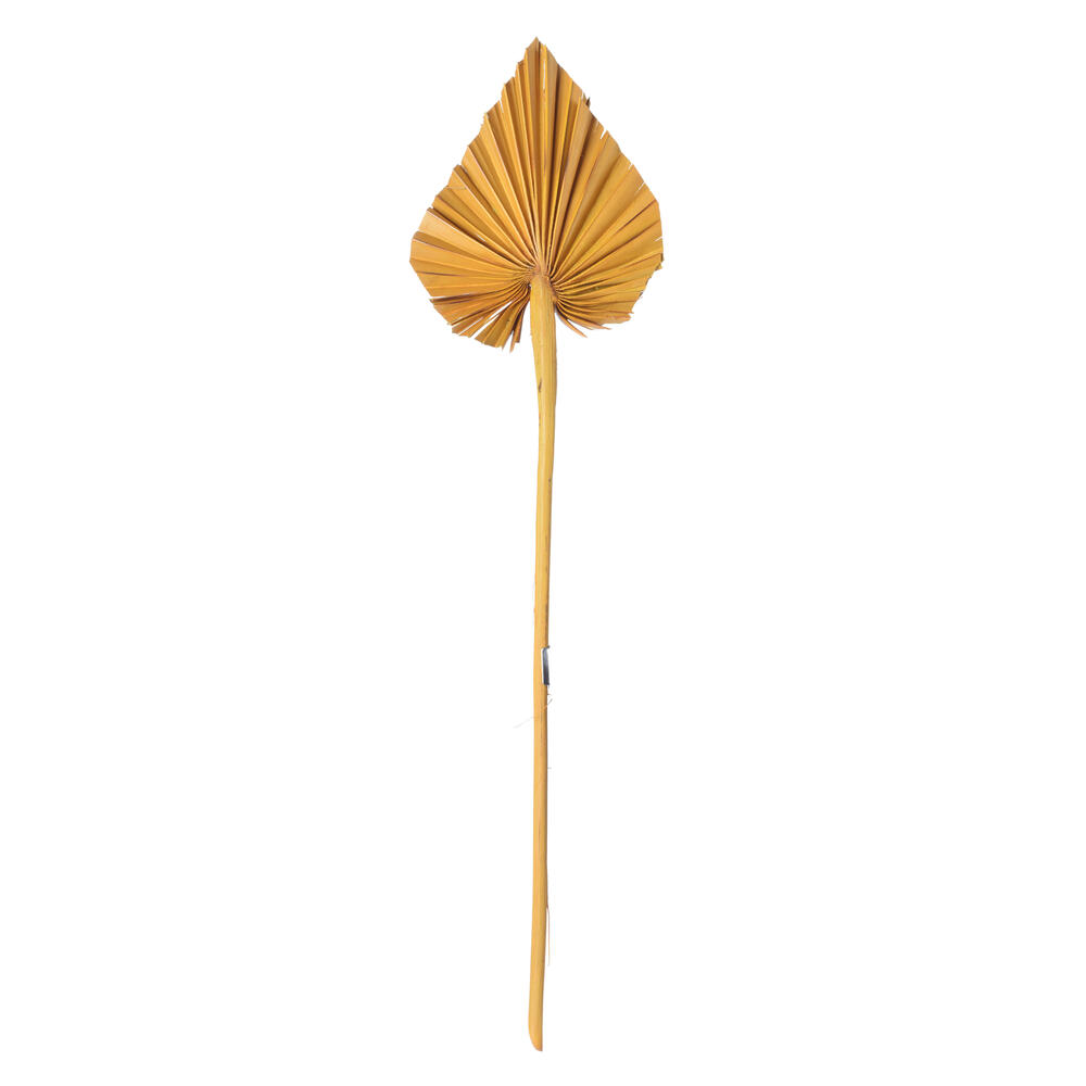 Vickerman Natural Botanicals Dried Palm Spear
