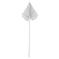 Vickerman Natural Botanicals Dried Palm Spear