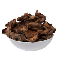 Vickerman Natural Botanicals 2.75" Palm Cap
