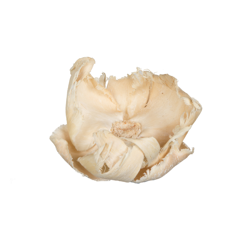 Vickerman Natural Botanicals 2.75" Palm Cap