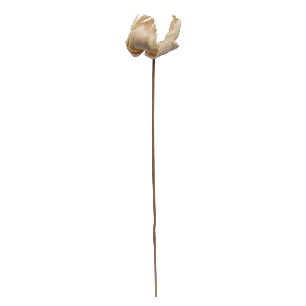 Vickerman Natural Botanicals 2.75" Palm Cap, on Stem