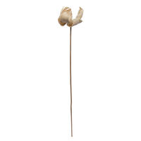 Vickerman Natural Botanicals 2.75" Palm Cap, on Stem