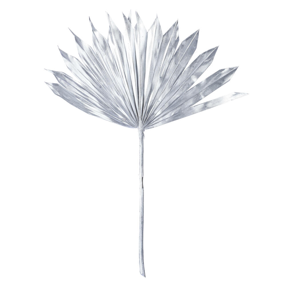 Vickerman 13.75-19.5" Natural Botanicals Dried Palm Sun Spear
