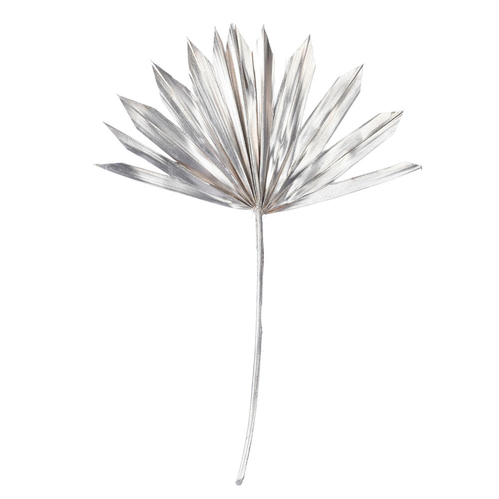Vickerman 13.75-19.5" Natural Botanicals Dried Palm Sun Spear