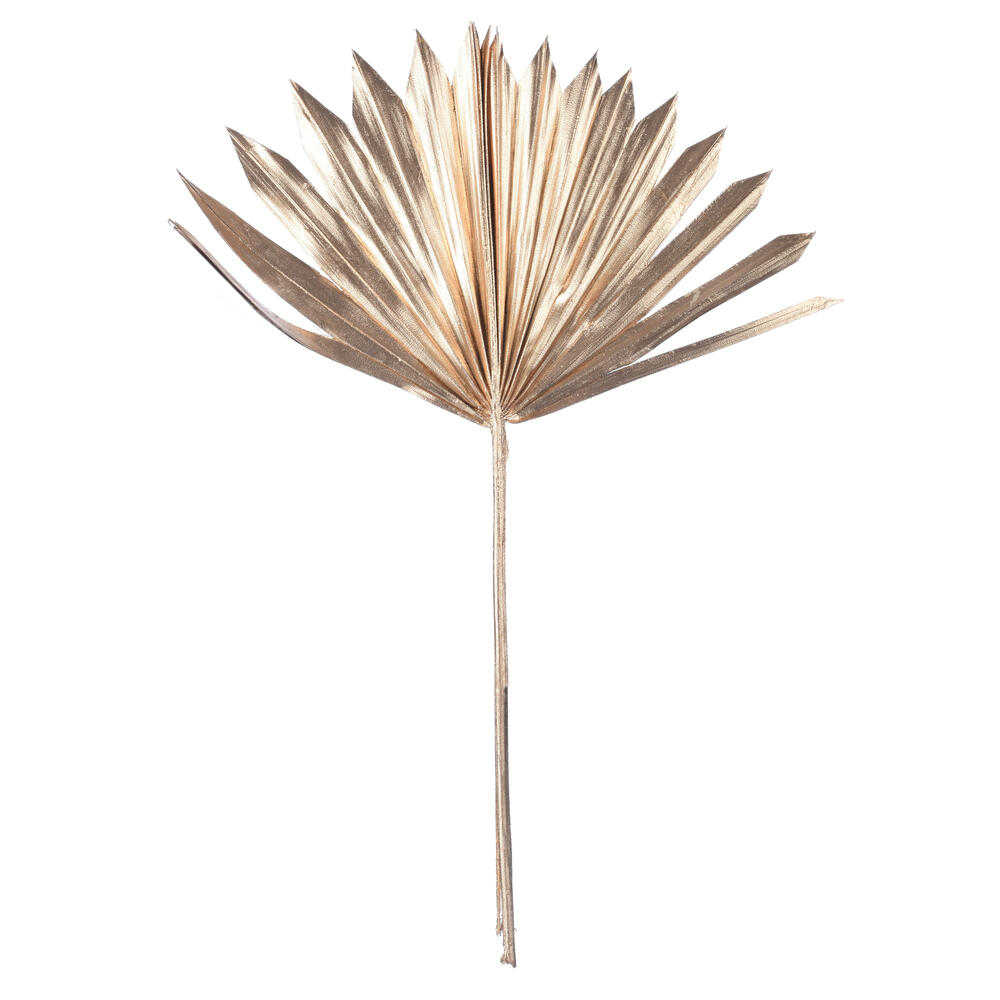 Vickerman 13.75-19.5" Natural Botanicals Dried Palm Sun Spear
