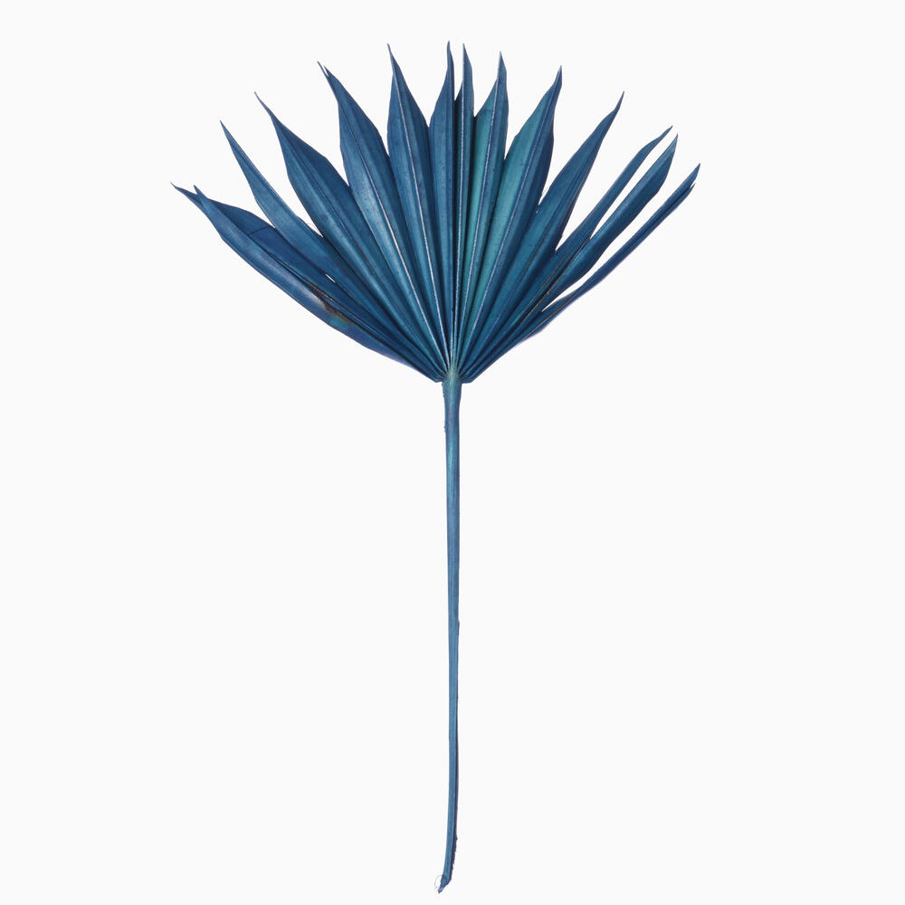 Vickerman 13.75-19.5" Natural Botanicals Dried Palm Sun Spear