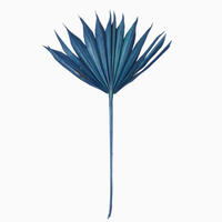 Vickerman 13.75-19.5" Natural Botanicals Dried Palm Sun Spear