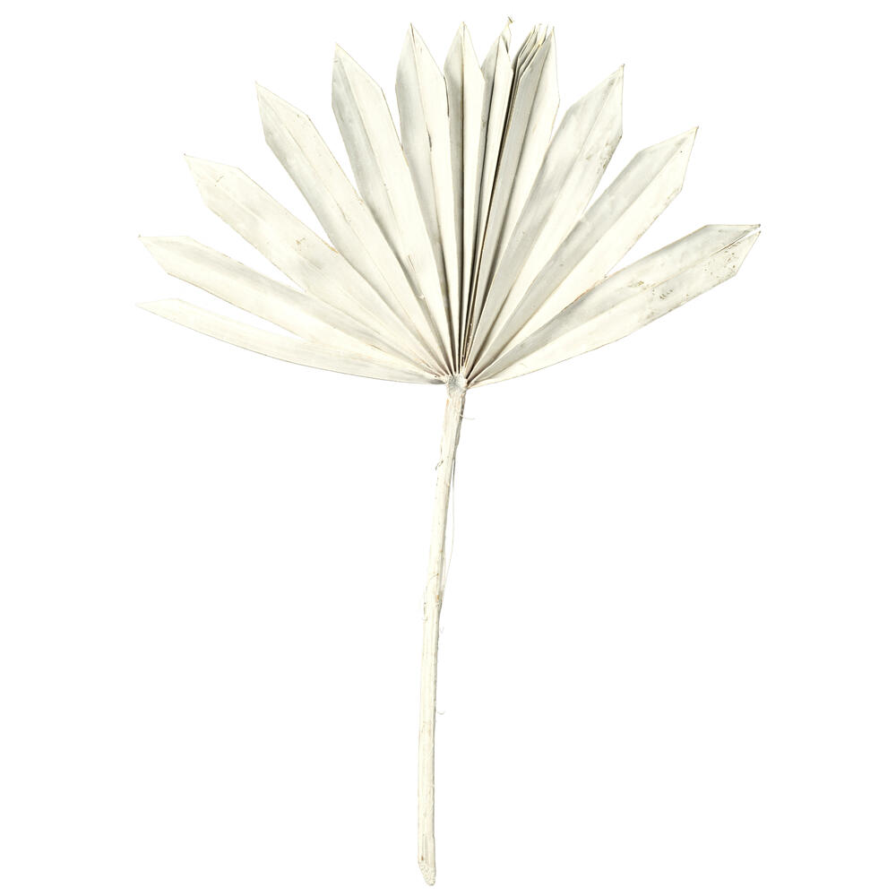 Vickerman 13.75-19.5" Natural Botanicals Dried Palm Sun Spear