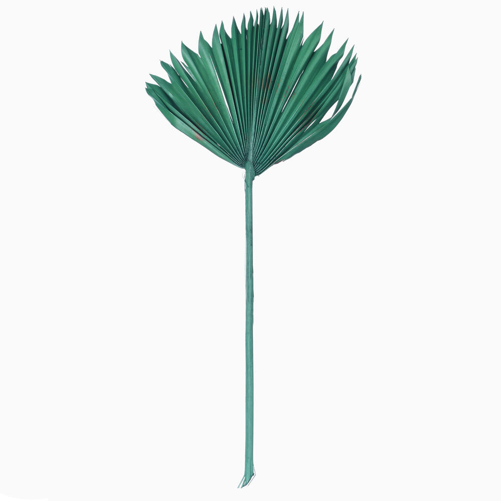 Vickerman 13.75-19.5" Natural Botanicals Dried Palm Sun Spear