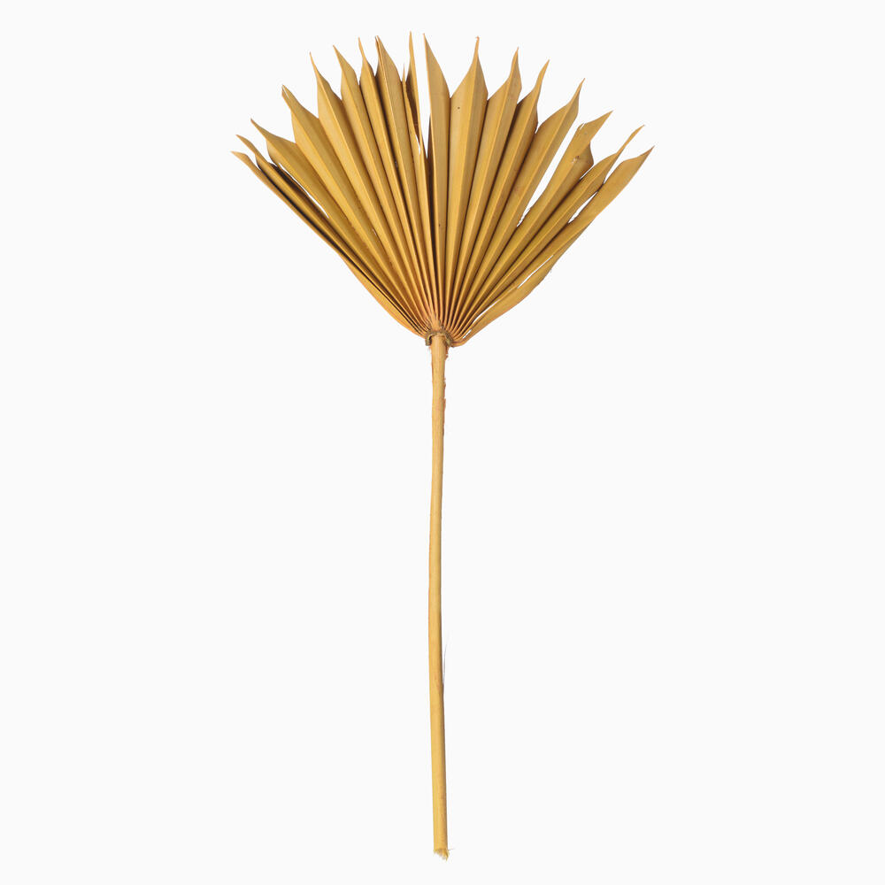 Vickerman 13.75-19.5" Natural Botanicals Dried Palm Sun Spear