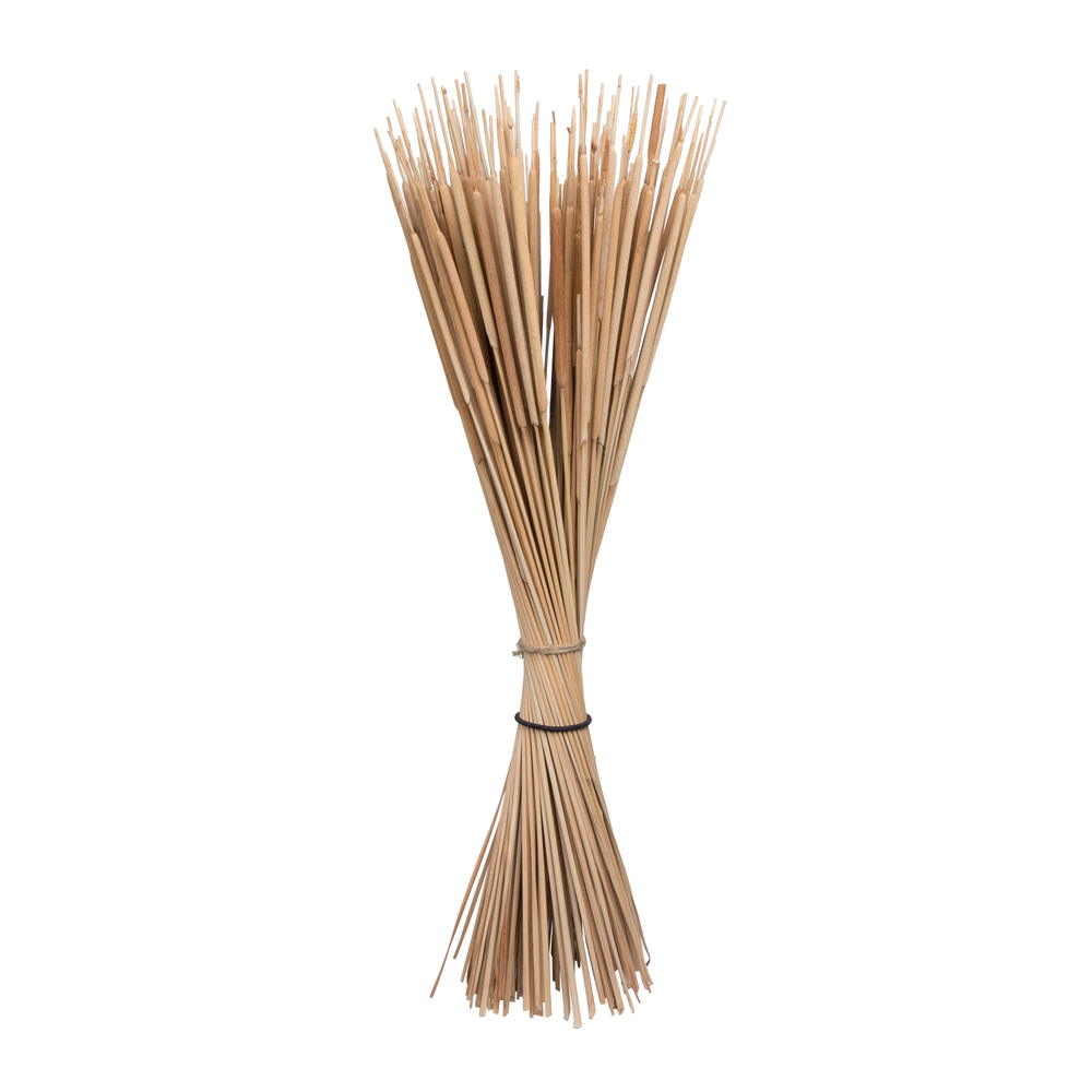 24" Reed Spadix Pencil 150/pk