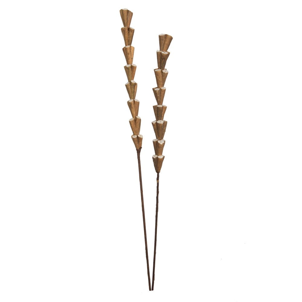 24" Natural Sola Rajani Skin Stick 24/bg