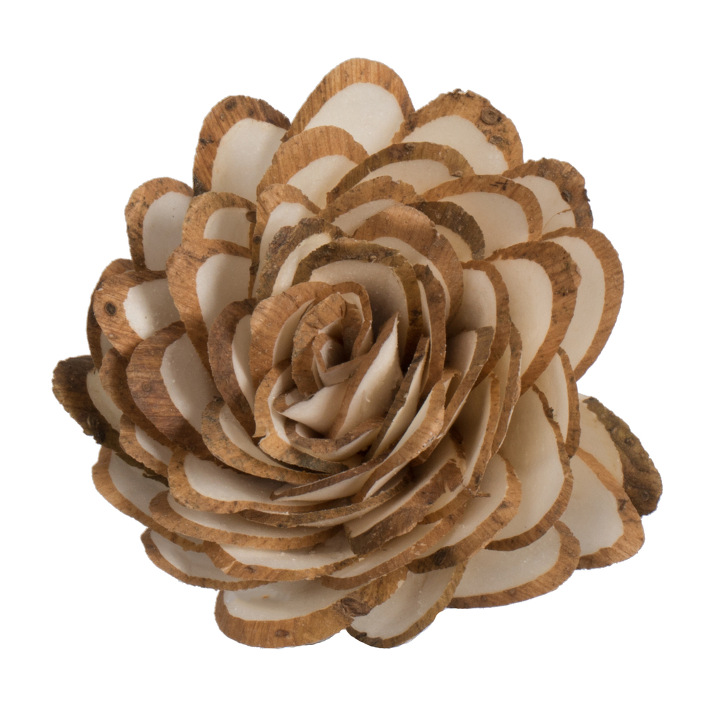 1-3" Assort Natural Sola Head #32 24/bg