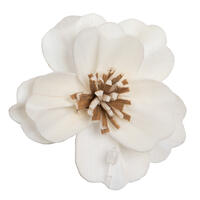 Vickerman Anemone Sola Flower