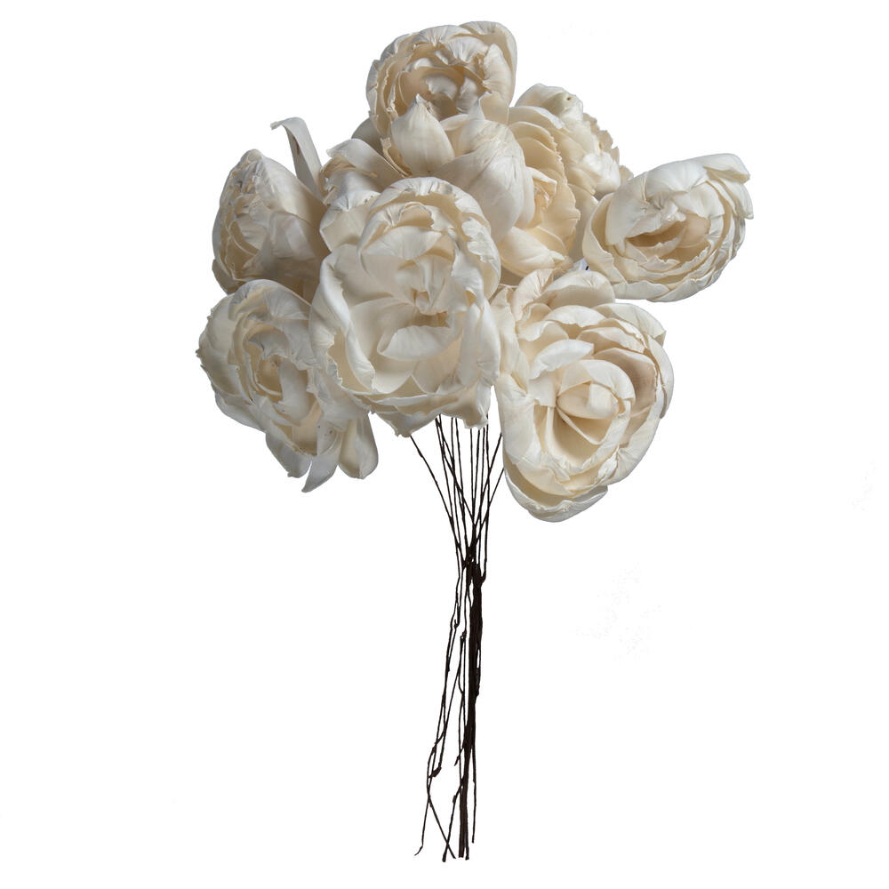 Vickerman 4" Natural Botanicals Dried Sola Flower on Wire Stem