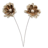 Vickerman 1-3" Natural Botanicals Assorted Natural Dried Sola Flower Head