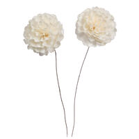 4" Camellia Sola Flower 12" stem 12/bg