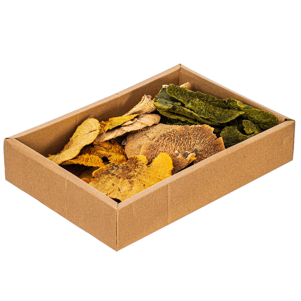 Vickerman Natural Botanicals Dried Assorted 4-6 inch Sponge Mushrooms 