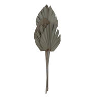 Vickerman Natural Botanicals 21" King Palm Spear, 10/Pk
