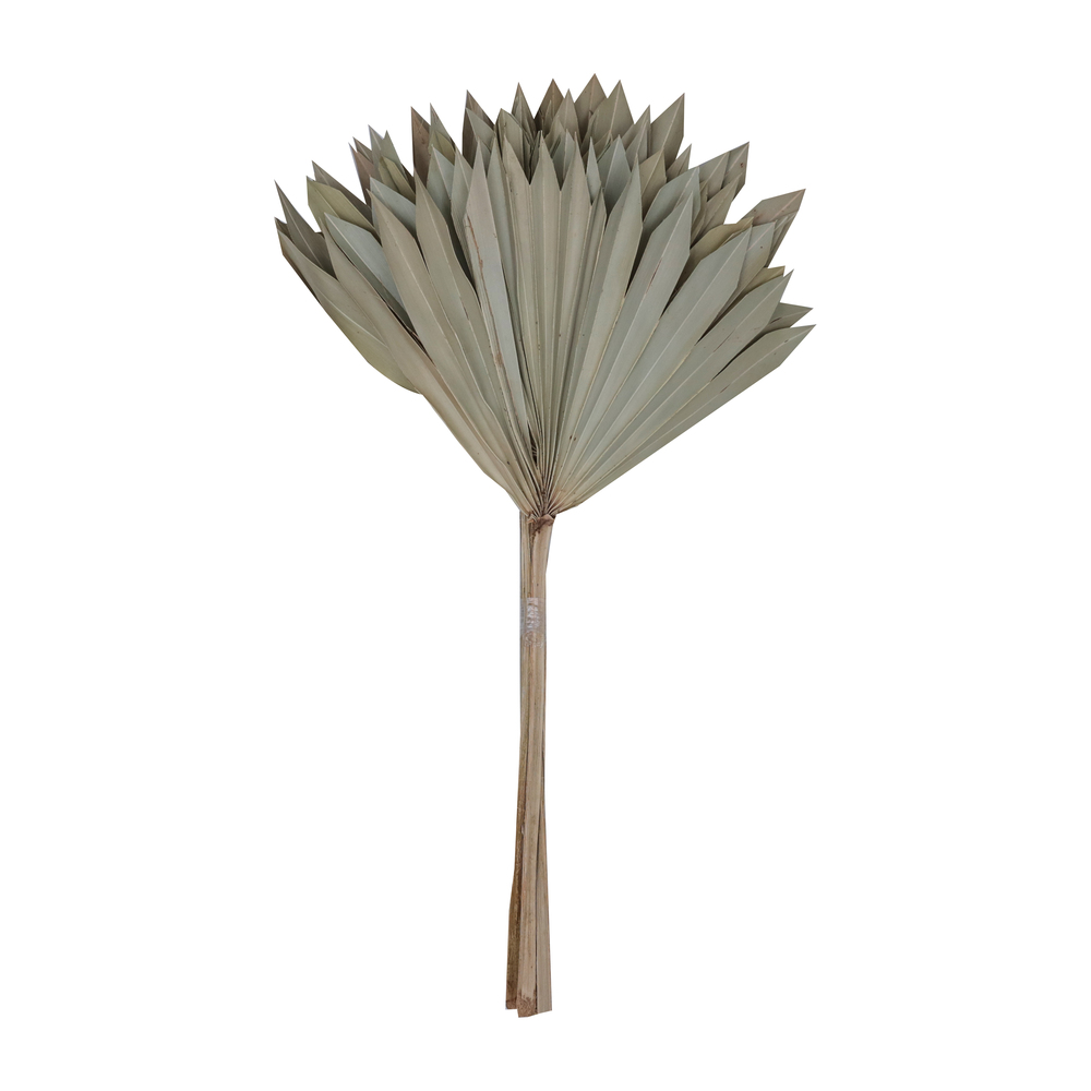 Vickerman Natural Botanicals 20" Palm Sun Stem, 12/Pk
