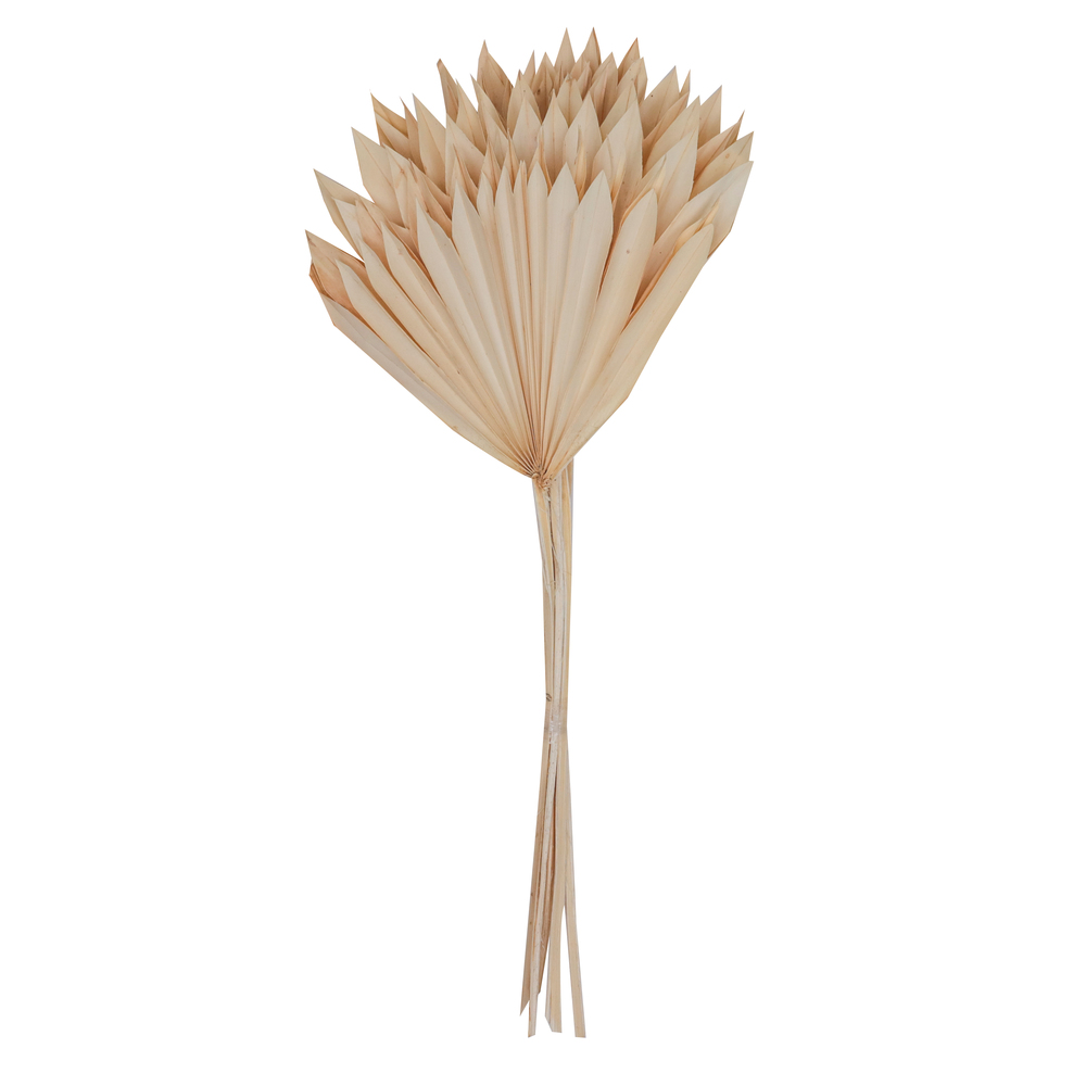 Vickerman Natural Botanicals 20" Palm Sun Stem, 12/Pk