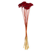 Vickerman Dried Yarrow Achillea Parker Bunch