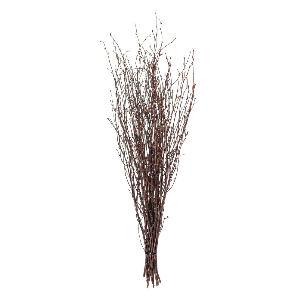 Vickerman Dried Natural Brown Birch Twig