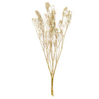 24" Natural White Dried Gypsophila .7 oz