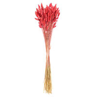 Vickerman 24" Dried Bunny Tail Lagurus Bunch, 3 oz