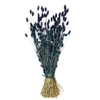 Vickerman 26" Dried Phalaris Bunch, 7 oz