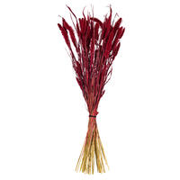 Vickerman 26" Dried Setarea Bunch, 6 oz.