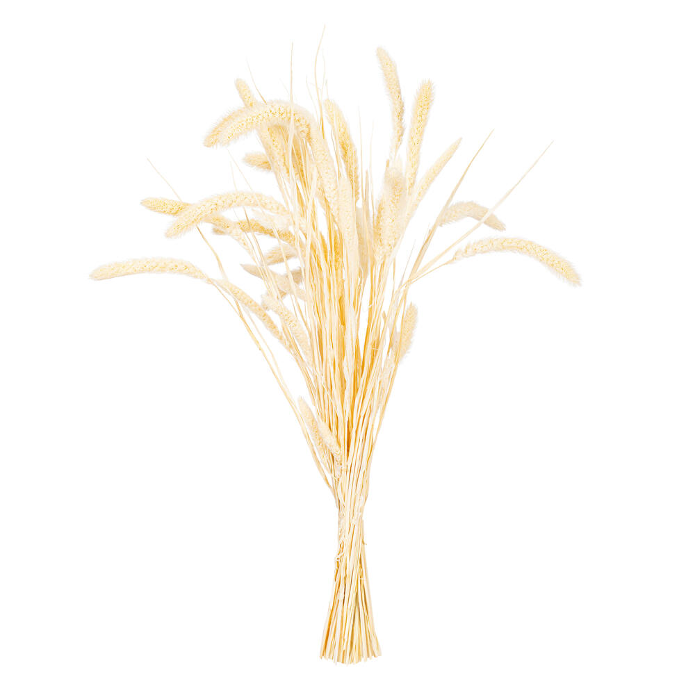 26" Bleached Setarea Bunch 3.25 oz