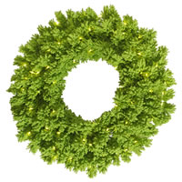 Vickerman Flocked Lime Artificial Christmas Wreath