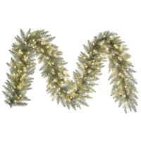 9'x14" Champagne Garl DuraL LED 100WW