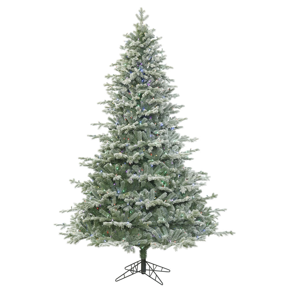 Vickerman Frosted Denton Spruce Christmas Tree, Multi-Colored Lights