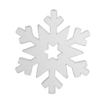 Vickerman 12" Glitter Snowflake