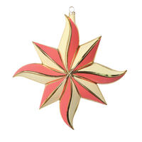 7.5" Coral 8 Point Star Ornament 2/Bag
