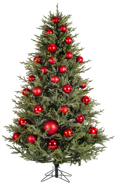 Illustration of a tree at the coverage you have entered