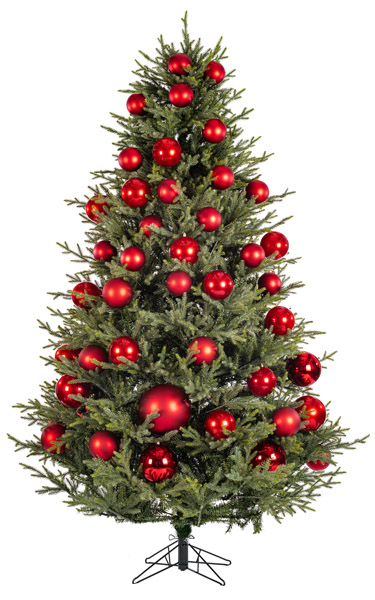 Illustration of a tree at the coverage you have entered